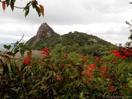 PEDRA DAS FLORES 